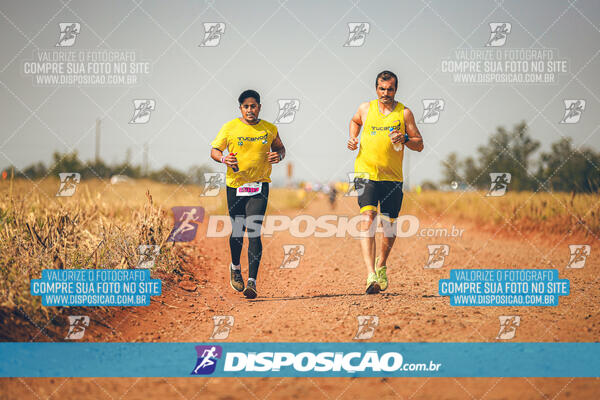 Eco Corrida 90k Londrina