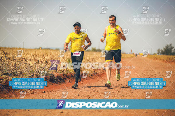 Eco Corrida 90k Londrina