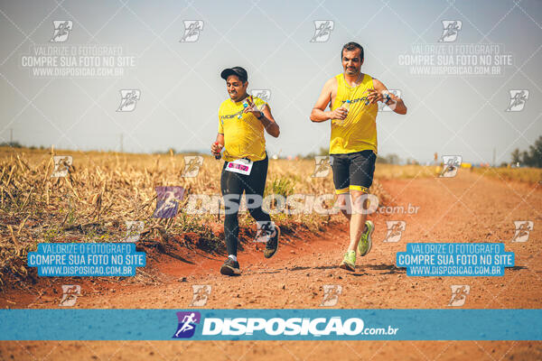 Eco Corrida 90k Londrina