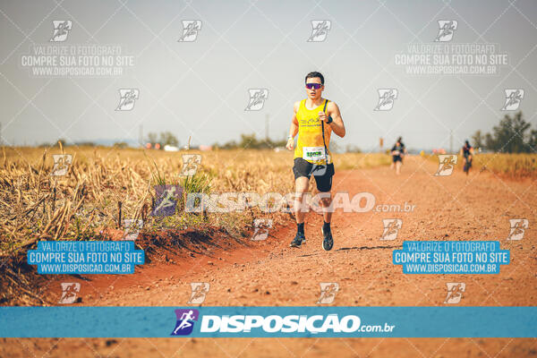 Eco Corrida 90k Londrina