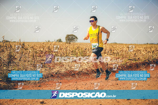 Eco Corrida 90k Londrina