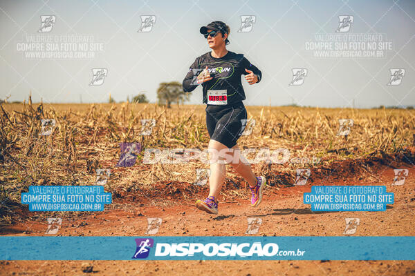 Eco Corrida 90k Londrina