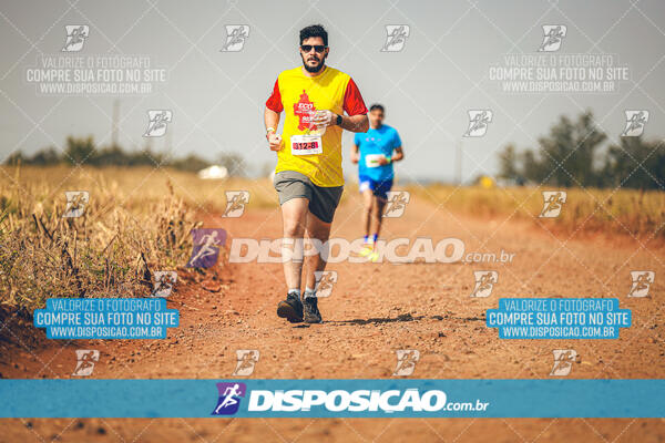 Eco Corrida 90k Londrina