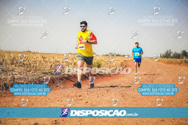 Eco Corrida 90k Londrina