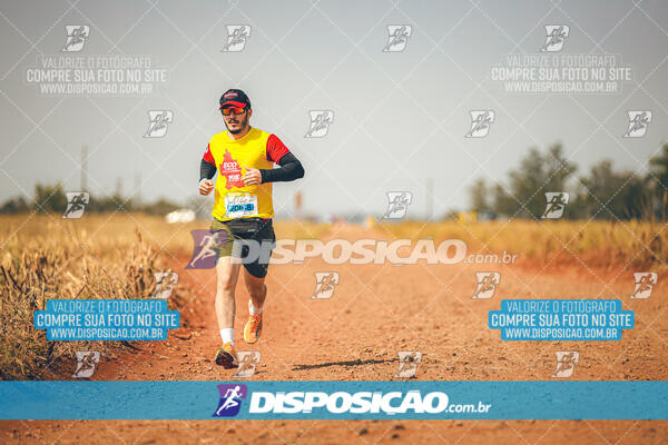 Eco Corrida 90k Londrina