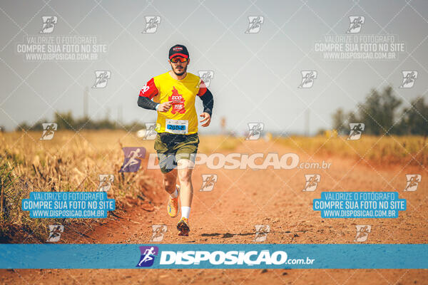 Eco Corrida 90k Londrina