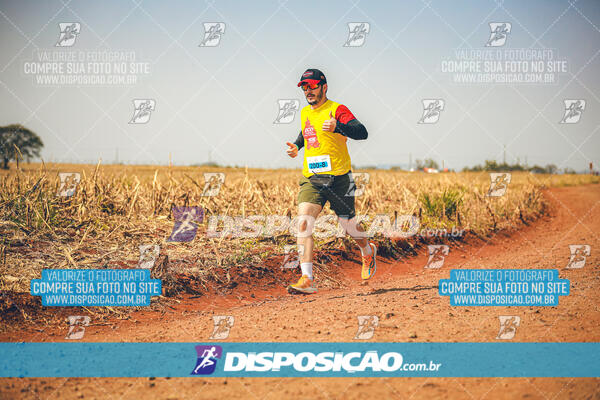 Eco Corrida 90k Londrina