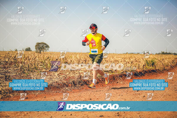 Eco Corrida 90k Londrina