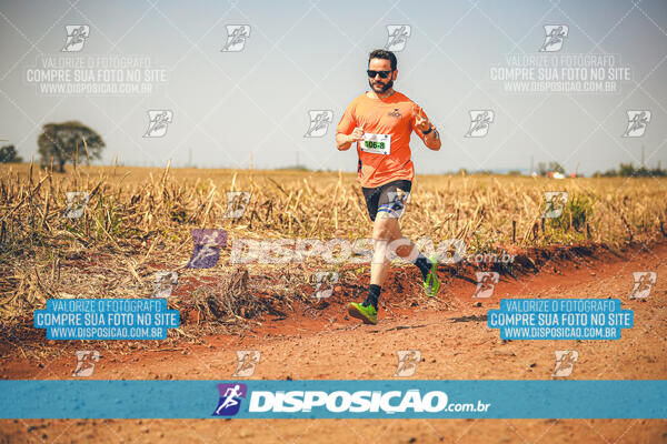 Eco Corrida 90k Londrina