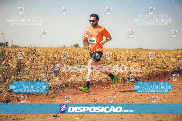 Eco Corrida 90k Londrina