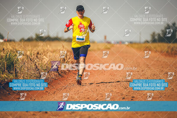 Eco Corrida 90k Londrina