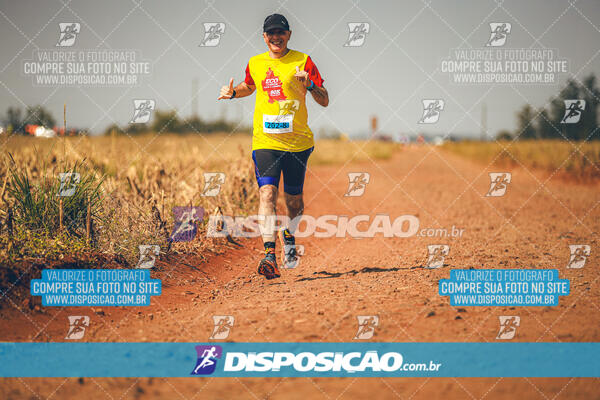 Eco Corrida 90k Londrina