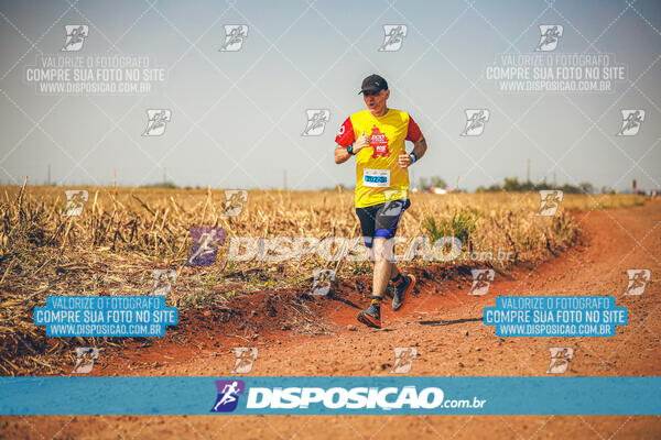 Eco Corrida 90k Londrina