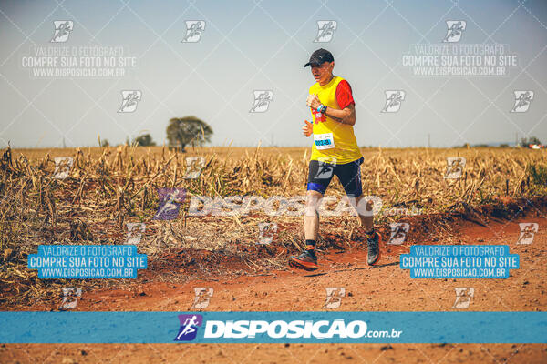 Eco Corrida 90k Londrina