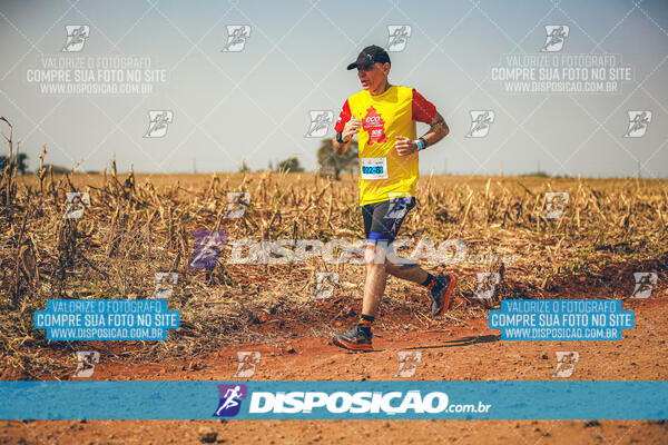 Eco Corrida 90k Londrina