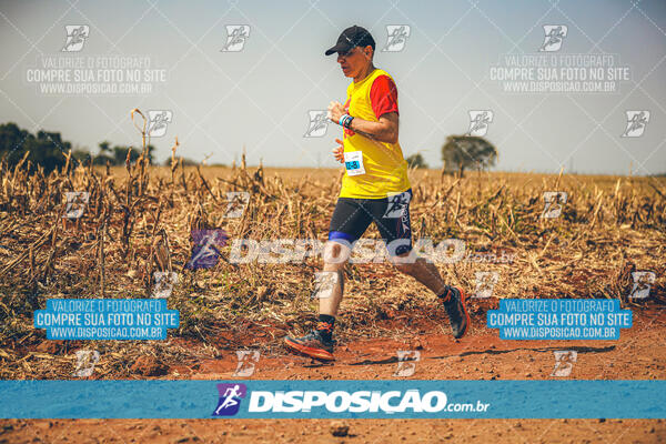 Eco Corrida 90k Londrina