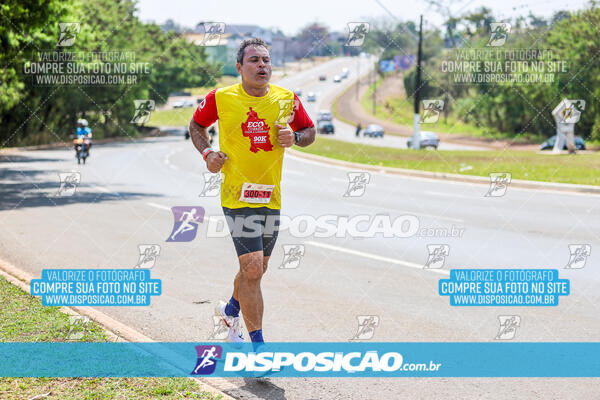 Eco Corrida 90k Londrina