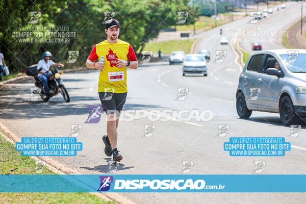 Eco Corrida 90k Londrina