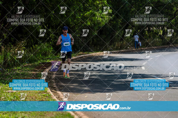 Eco Corrida 90k Londrina