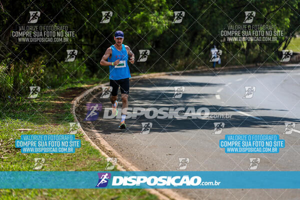 Eco Corrida 90k Londrina