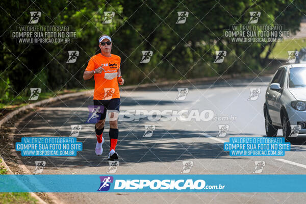 Eco Corrida 90k Londrina