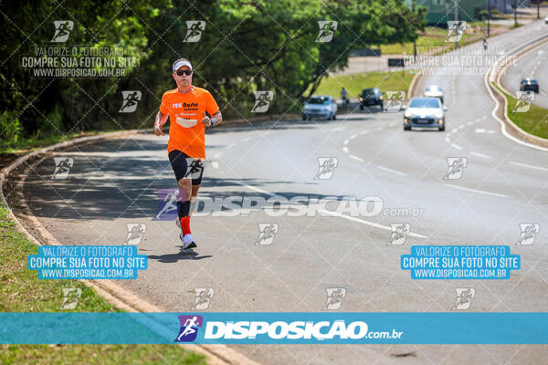 Eco Corrida 90k Londrina