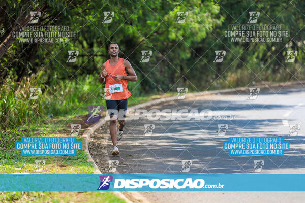 Eco Corrida 90k Londrina