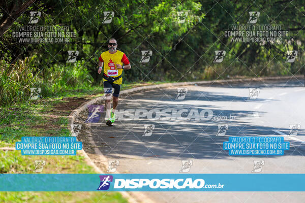 Eco Corrida 90k Londrina