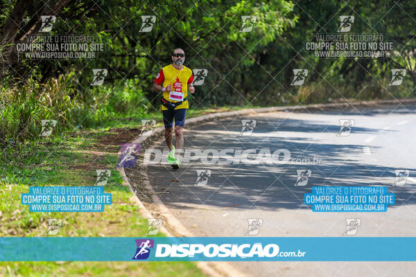 Eco Corrida 90k Londrina