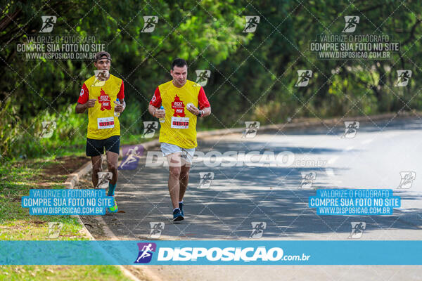 Eco Corrida 90k Londrina