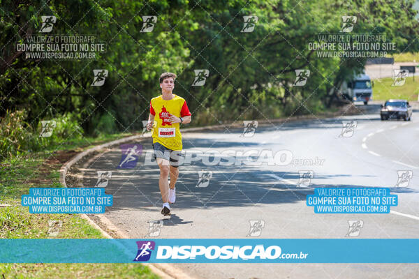 Eco Corrida 90k Londrina