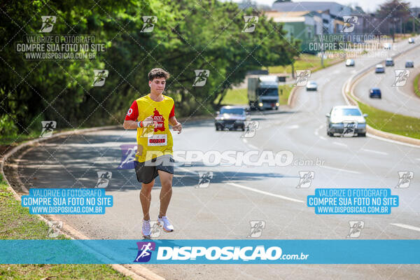 Eco Corrida 90k Londrina