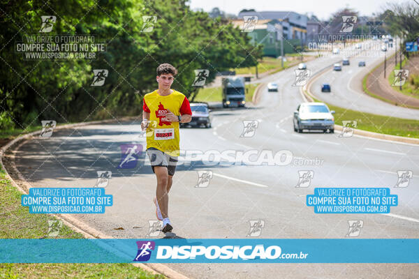 Eco Corrida 90k Londrina