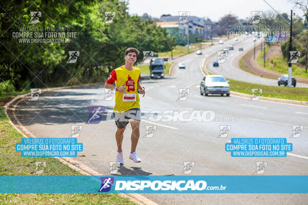 Eco Corrida 90k Londrina