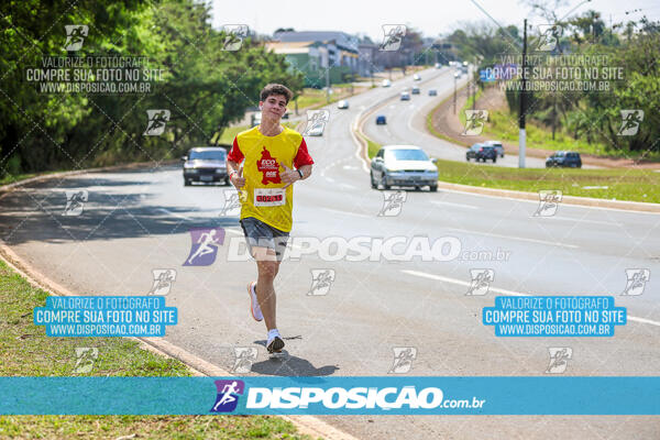 Eco Corrida 90k Londrina