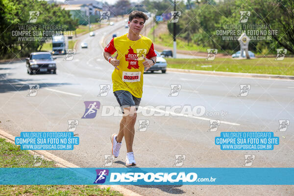 Eco Corrida 90k Londrina