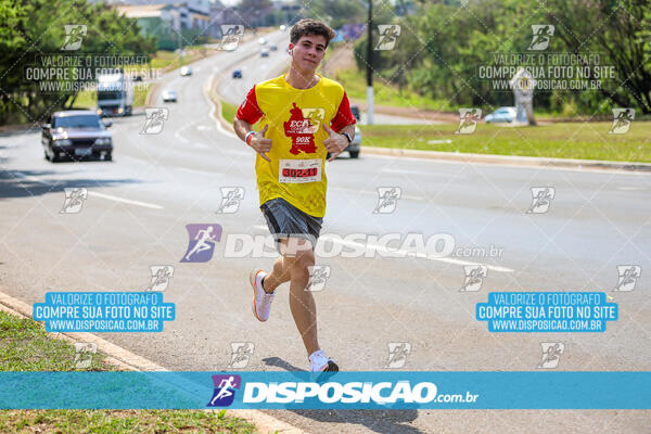 Eco Corrida 90k Londrina