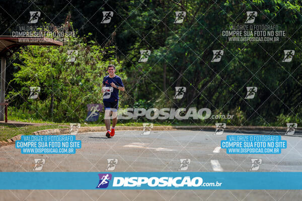 Eco Corrida 90k Londrina