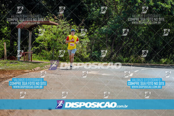 Eco Corrida 90k Londrina