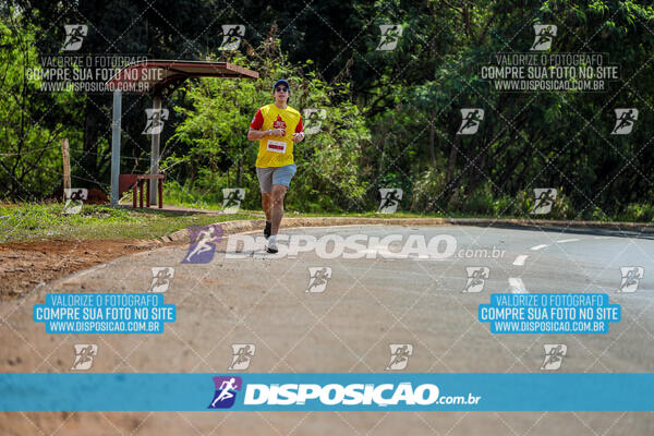 Eco Corrida 90k Londrina