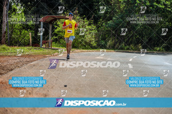 Eco Corrida 90k Londrina