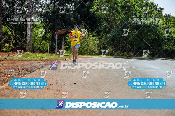 Eco Corrida 90k Londrina