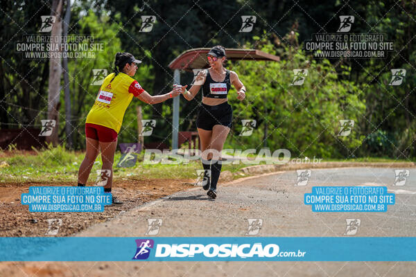 Eco Corrida 90k Londrina