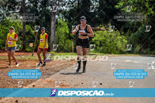 Eco Corrida 90k Londrina