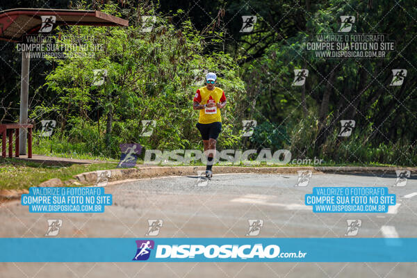 Eco Corrida 90k Londrina