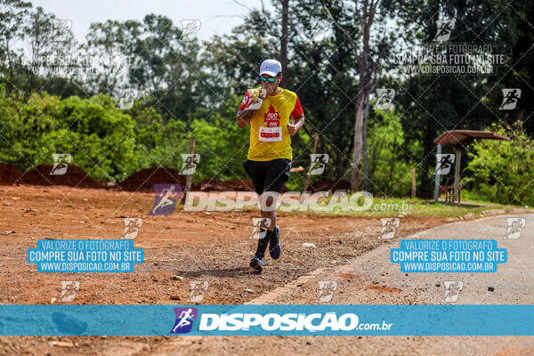 Eco Corrida 90k Londrina