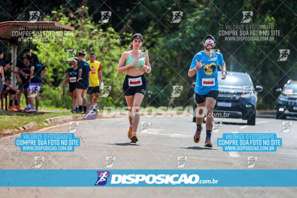 Eco Corrida 90k Londrina