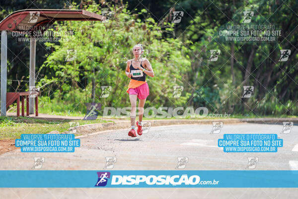 Eco Corrida 90k Londrina