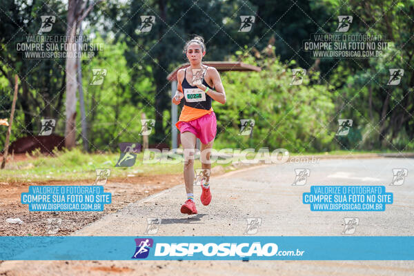 Eco Corrida 90k Londrina