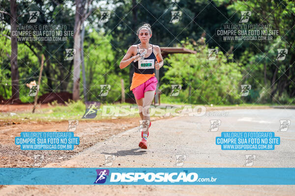 Eco Corrida 90k Londrina